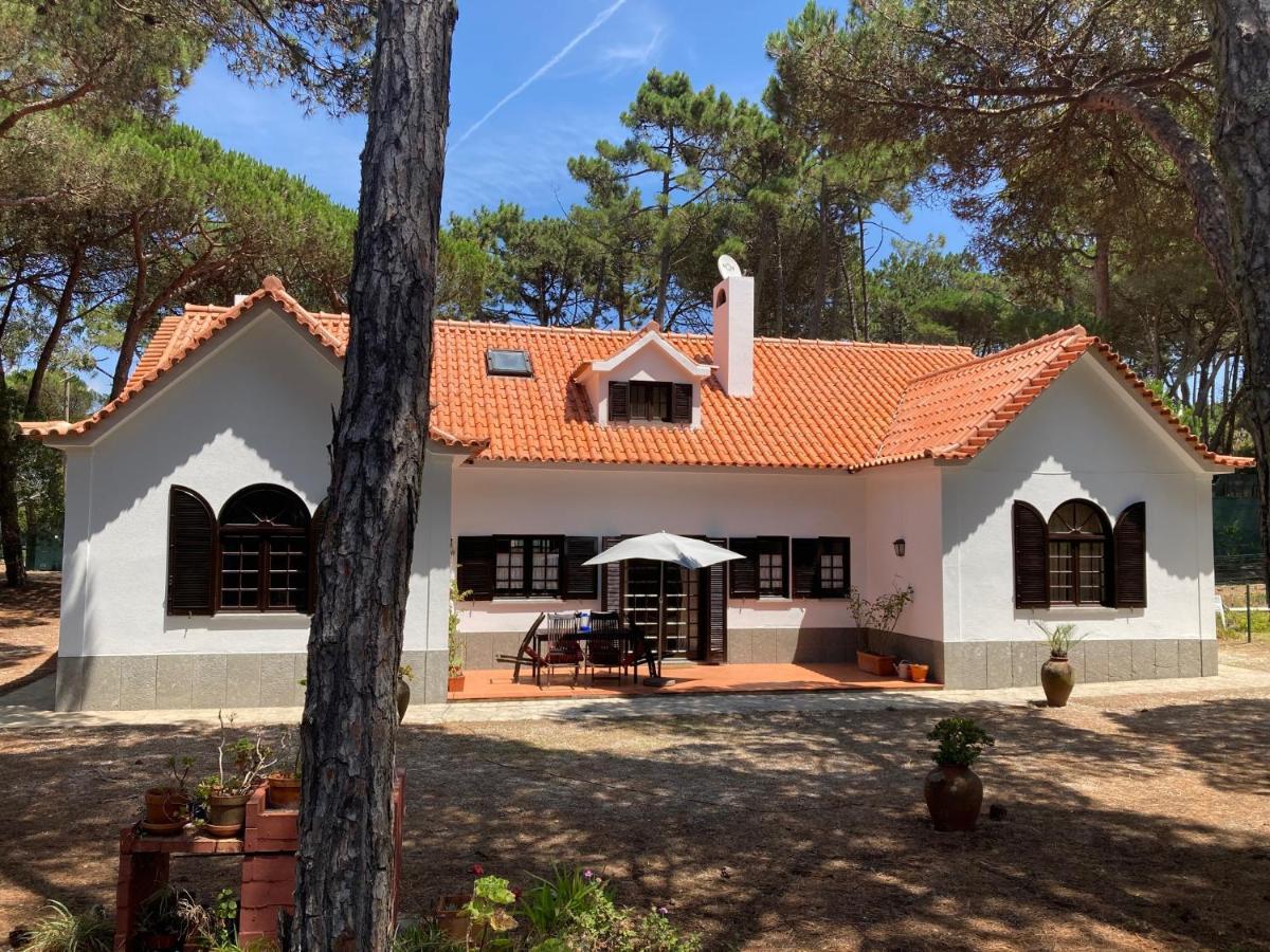 Moradia No Pinhal Com Piscina - Espaco E Privacidade Para As Suas Ferias! Sintra Exterior foto